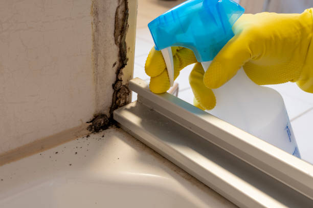 Best Crawl Space Mold Removal  in Lewisburg, KY