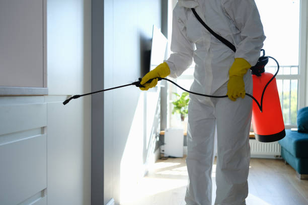 Crawl Space Mold Removal in Lewisburg, KY